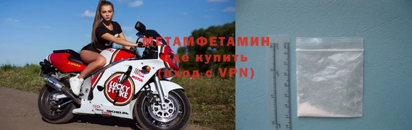 сатива Коряжма