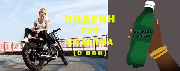 сатива Коряжма