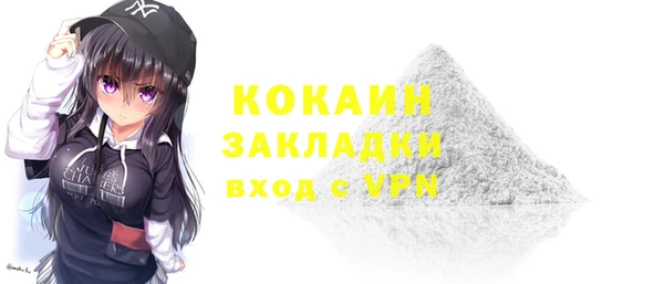 сатива Коряжма