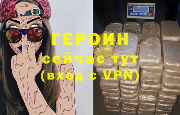 сатива Коряжма