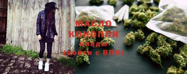 сатива Коряжма