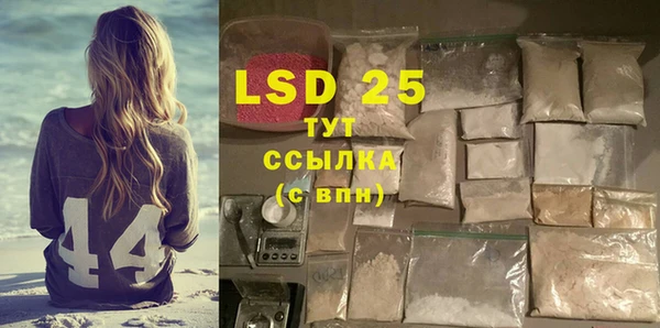 сатива Коряжма