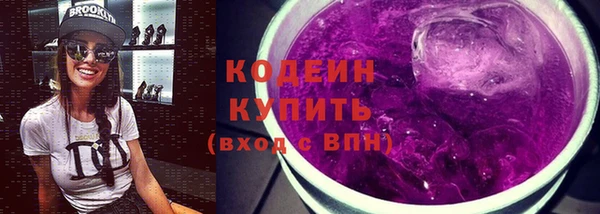 сатива Коряжма
