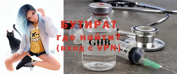 сатива Коряжма