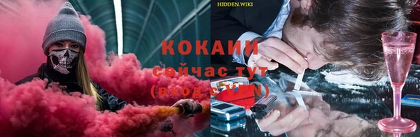 сатива Коряжма