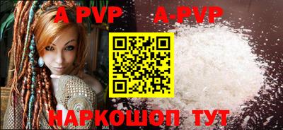 стафф Кингисепп