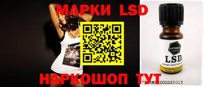 стафф Кингисепп