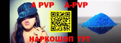 стафф Кингисепп