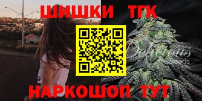 стафф Кингисепп
