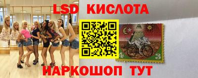 амф Кимры