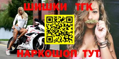 стафф Кингисепп