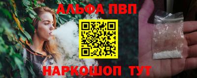 стафф Кингисепп