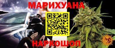 стафф Кингисепп
