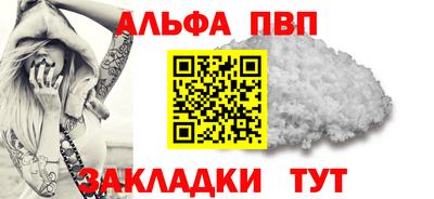 стафф Кингисепп