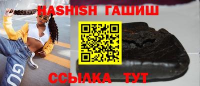 стафф Кингисепп