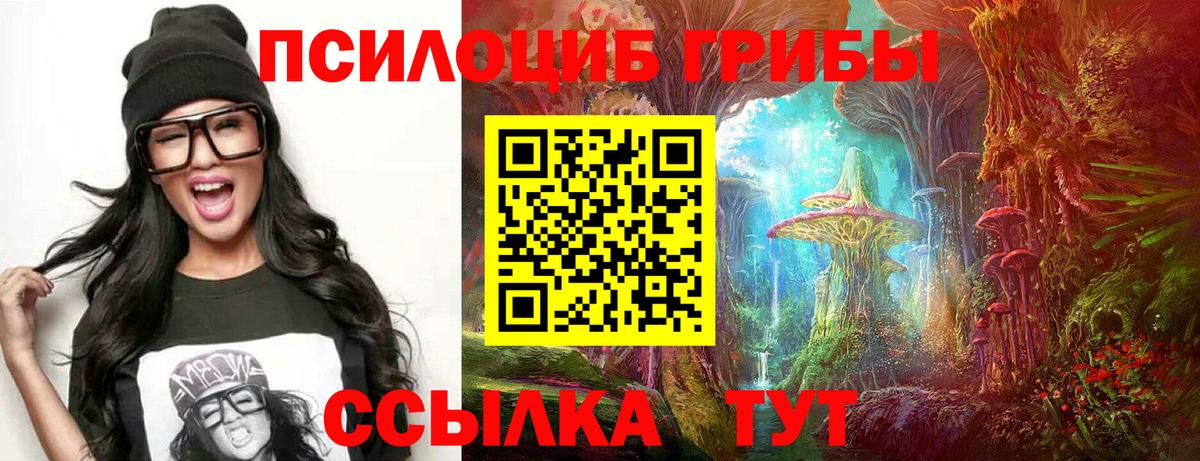даркнет сайт  Вход с VPN  Фурманов  Галлюциногенные грибы мицелий 