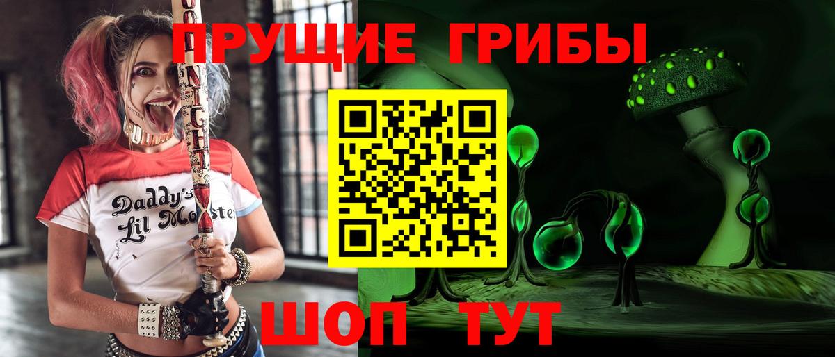 Галлюциногенные грибы Psilocybine cubensis Фурманов